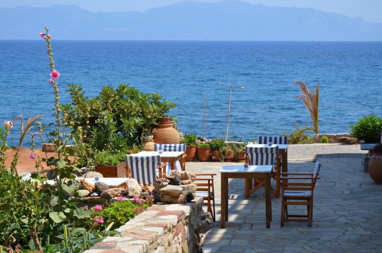 Pelagia Aphrodite Hotel Agia Pelagia  시설 사진